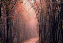 帕尔马遭遇失败，主帅连夜商讨调整计划