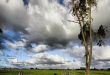 南特客场失利，保级希望一去不返