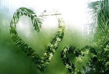 列支敦士登国脚转会加盟弗赖堡