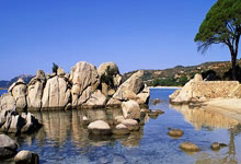 帕尔马遭遇失败，主帅连夜商讨调整计划